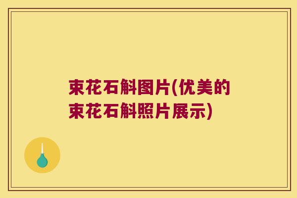 束花石斛图片(优美的束花石斛照片展示)