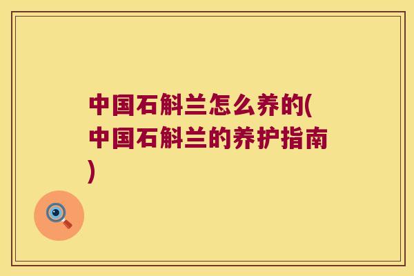 中国石斛兰怎么养的(中国石斛兰的养护指南)