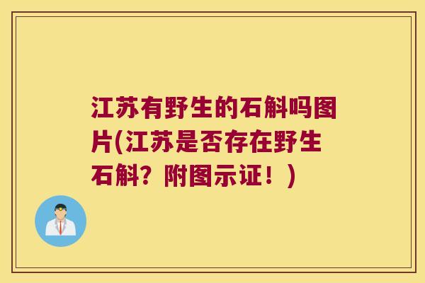 江苏有野生的石斛吗图片(江苏是否存在野生石斛？附图示证！)