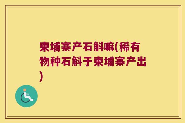 柬埔寨产石斛嘛(稀有物种石斛于柬埔寨产出)