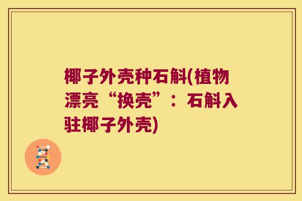 椰子外壳种石斛(植物漂亮“换壳”：石斛入驻椰子外壳)