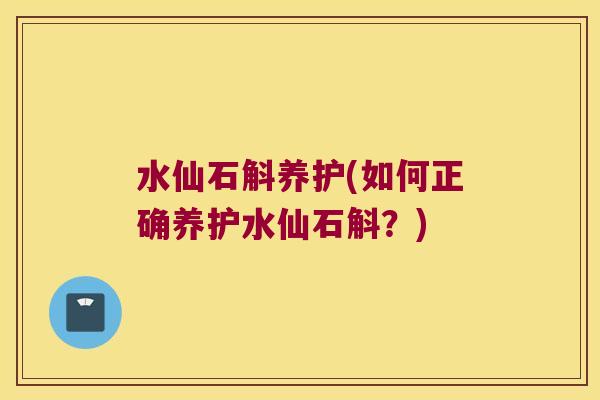 水仙石斛养护(如何正确养护水仙石斛？)