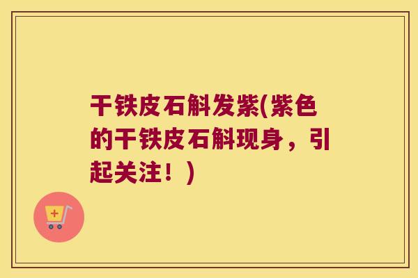 干铁皮石斛发紫(紫色的干铁皮石斛现身,引起关注!) 干铁皮石斛发紫(紫色的干铁皮石斛现身,引起关注!)
