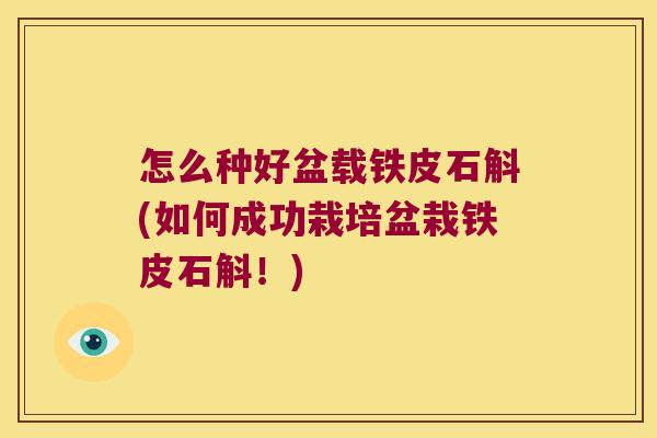 怎么种好盆载铁皮石斛(如何成功栽培盆栽铁皮石斛！)