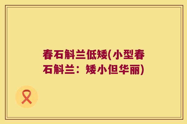 春石斛兰低矮(小型春石斛兰：矮小但华丽)