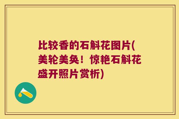 比较香的石斛花图片(美轮美奂！惊艳石斛花盛开照片赏析)
