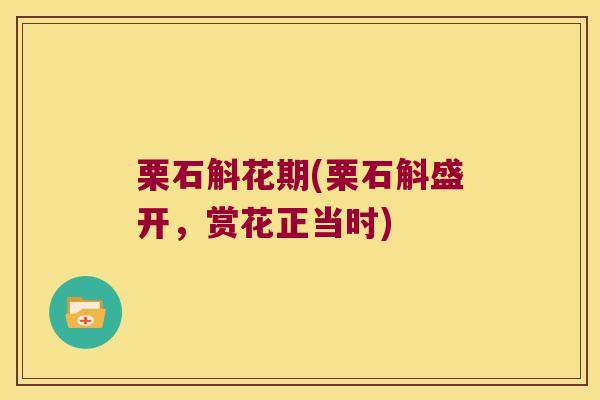 栗石斛花期(栗石斛盛开,赏花正当时) 栗石斛花期(栗石斛盛开,赏花正当时)