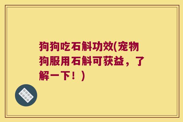 狗狗吃石斛功效(宠物狗服用石斛可获益，了解一下！)