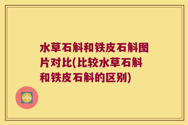 水草石斛和铁皮石斛图片对比(比较水草石斛和铁皮石斛的区别)
