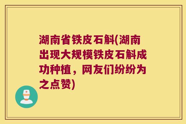 湖南省铁皮石斛(湖南出现大规模铁皮石斛成功种植，网友们纷纷为之点赞)
