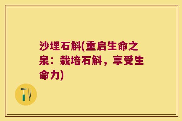 沙埋石斛(重启生命之泉：栽培石斛，享受生命力)