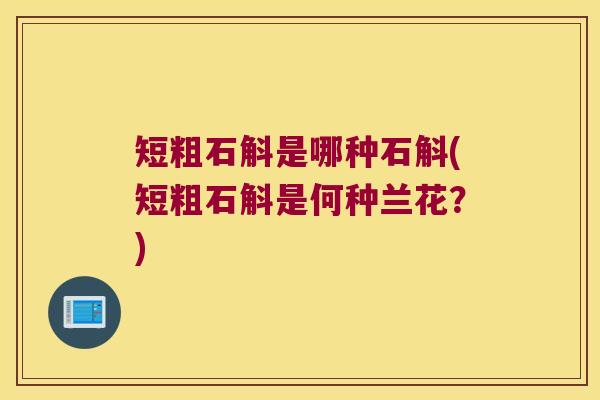 短粗石斛是哪种石斛(短粗石斛是何种兰花?) 短粗石斛是哪种石斛(短粗石斛是何种兰花?)