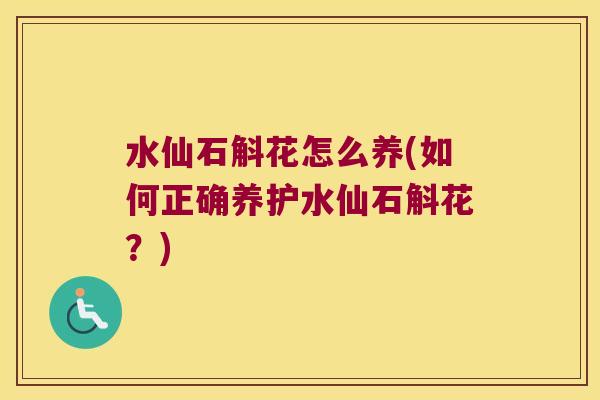 水仙石斛花怎么养(如何正确养护水仙石斛花？)