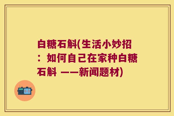 白糖石斛(生活小妙招：如何自己在家种白糖石斛 ——新闻题材)