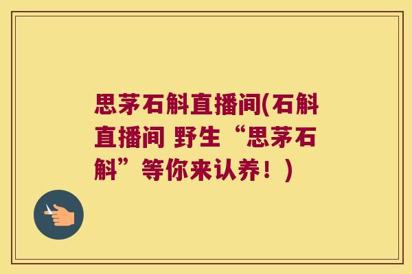 思茅石斛直播间(石斛直播间 野生“思茅石斛”等你来认养！)