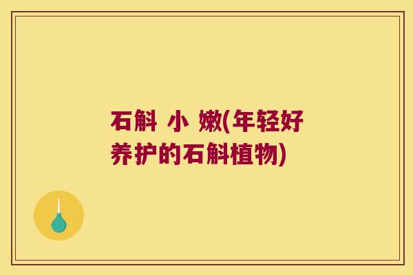 石斛 小 嫩(年轻好养护的石斛植物)