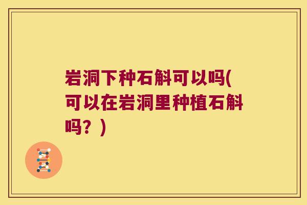 岩洞下种石斛可以吗(可以在岩洞里种植石斛吗？)