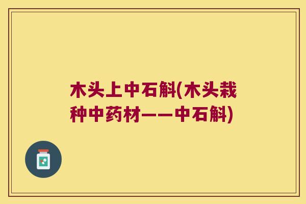 木头上中石斛(木头栽种中药材——中石斛)