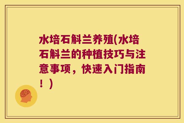 水培石斛兰养殖(水培石斛兰的种植技巧与注意事项，快速入门指南！)