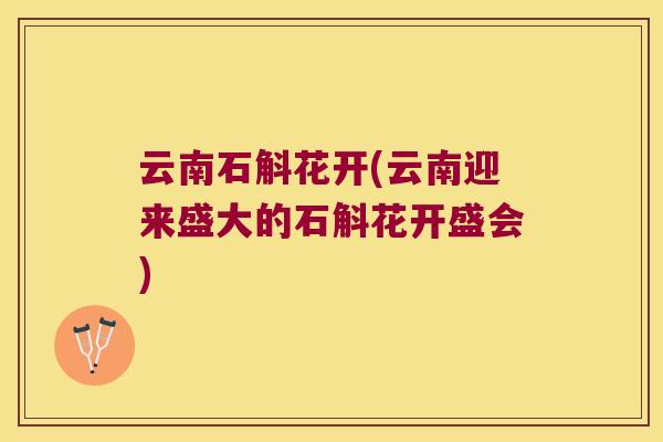 云南石斛花开(云南迎来盛大的石斛花开盛会)