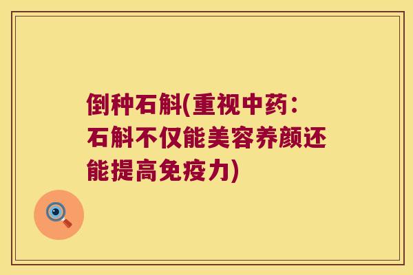 倒种石斛(重视中药：石斛不仅能美容养颜还能提高免疫力)