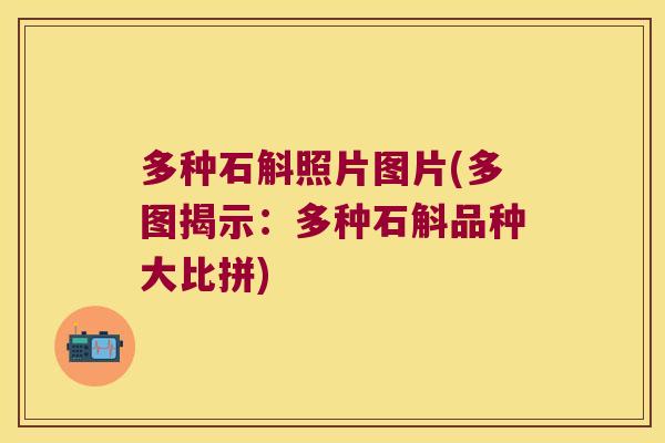 多种石斛照片图片(多图揭示：多种石斛品种大比拼)