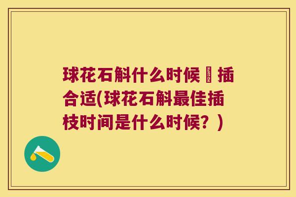 球花石斛什么时候扞插合适(球花石斛最佳插枝时间是什么时候？)
