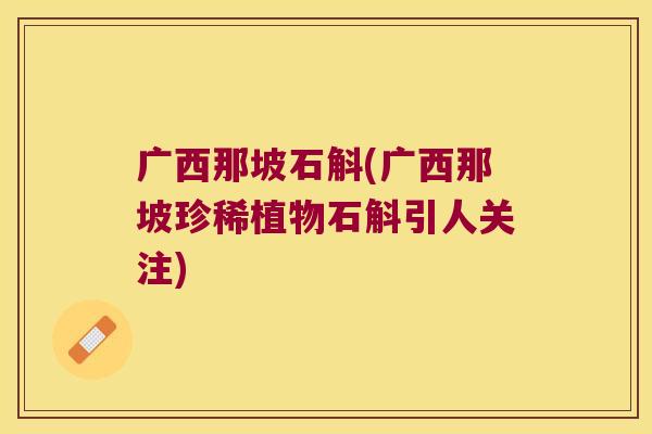 广西那坡石斛(广西那坡珍稀植物石斛引人关注)