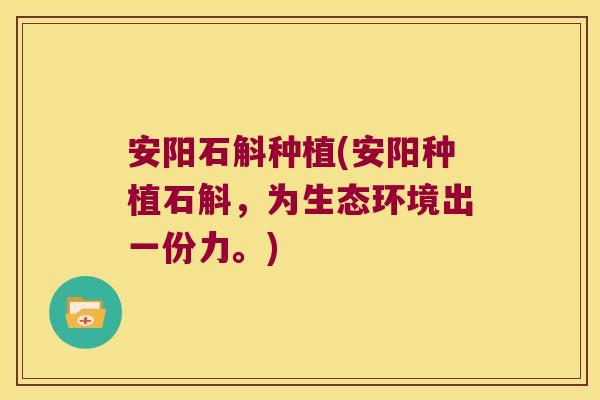 安阳石斛种植(安阳种植石斛，为生态环境出一份力。)