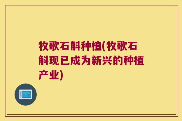 牧歌石斛种植(牧歌石斛现已成为新兴的种植产业)
