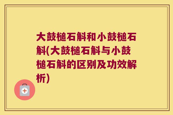 大鼓槌石斛和小鼓槌石斛(大鼓槌石斛与小鼓槌石斛的区别及功效解析)