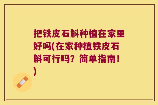 把铁皮石斛种植在家里好吗(在家种植铁皮石斛可行吗？简单指南！)