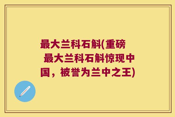 大兰科石斛(重磅  大兰科石斛惊现中国，被誉为兰中之王)