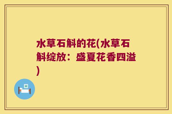 水草石斛的花(水草石斛绽放：盛夏花香四溢)