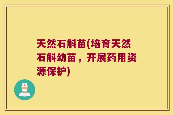 天然石斛苗(培育天然石斛幼苗，开展药用资源保护)
