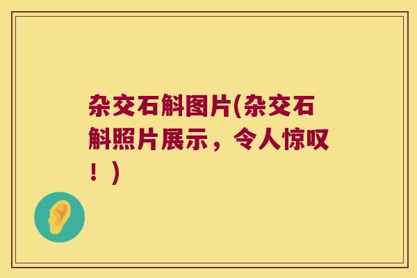 杂交石斛图片(杂交石斛照片展示，令人惊叹！)