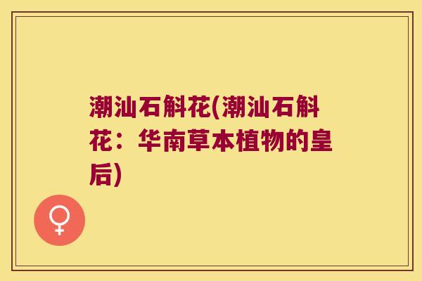 潮汕石斛花(潮汕石斛花：华南草本植物的皇后)