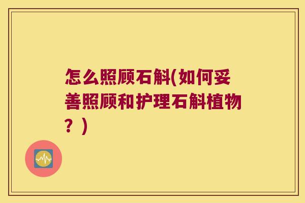 怎么照顾石斛(如何妥善照顾和护理石斛植物？)