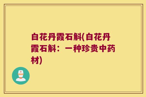 白花丹霞石斛(白花丹霞石斛：一种珍贵中药材)