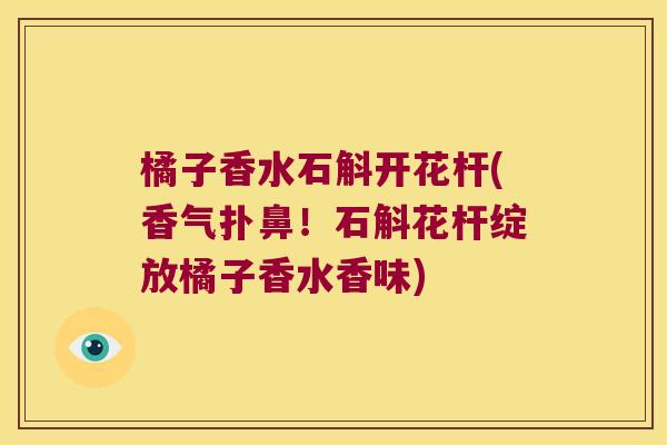 橘子香水石斛开花杆(香气扑鼻！石斛花杆绽放橘子香水香味)