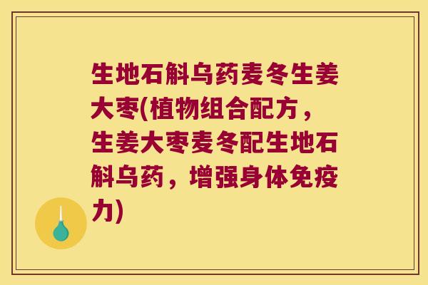 生地石斛乌药麦冬生姜大枣(植物组合配方,生姜大枣麦冬配生地石斛乌药,增强身体力) 生地石斛乌药麦冬生姜大枣(植物组合配方,生姜大枣麦冬配生地石斛乌药,增强身体力)