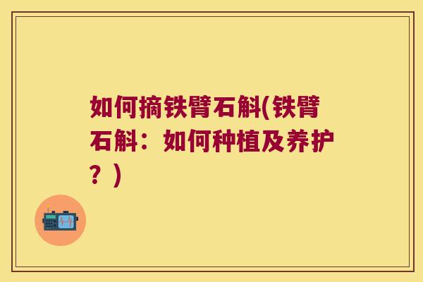如何摘铁臂石斛(铁臂石斛：如何种植及养护？)