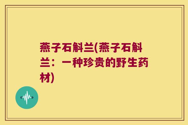 燕子石斛兰(燕子石斛兰：一种珍贵的野生药材)
