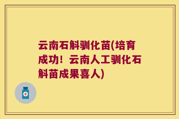 云南石斛驯化苗(培育成功！云南人工驯化石斛苗成果喜人)