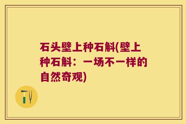 石头壁上种石斛(壁上种石斛：一场不一样的自然奇观)