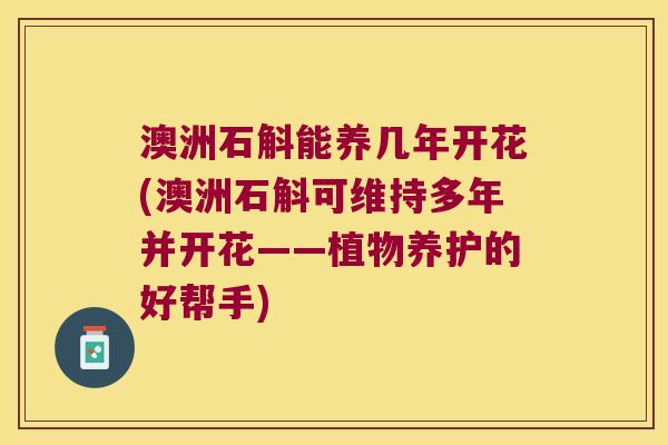 澳洲石斛能养几年开花(澳洲石斛可维持多年并开花——植物养护的好帮手)