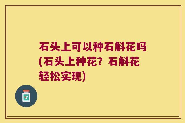 石头上可以种石斛花吗(石头上种花？石斛花轻松实现)