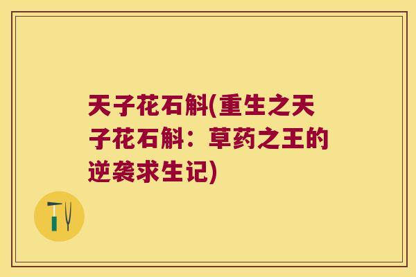 天子花石斛(重生之天子花石斛：草药之王的逆袭求生记)