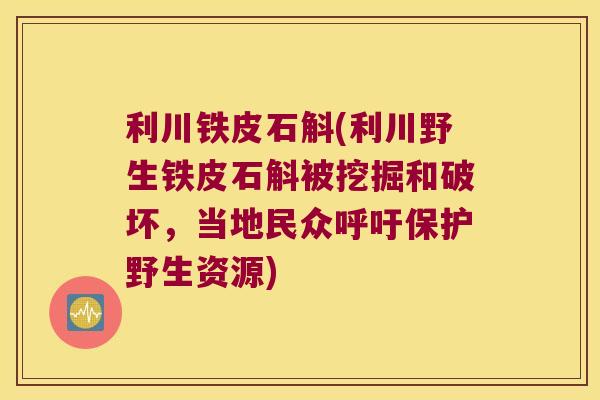 利川铁皮石斛(利川野生铁皮石斛被挖掘和破坏，当地民众呼吁保护野生资源)