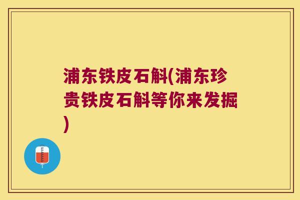 浦东铁皮石斛(浦东珍贵铁皮石斛等你来发掘)